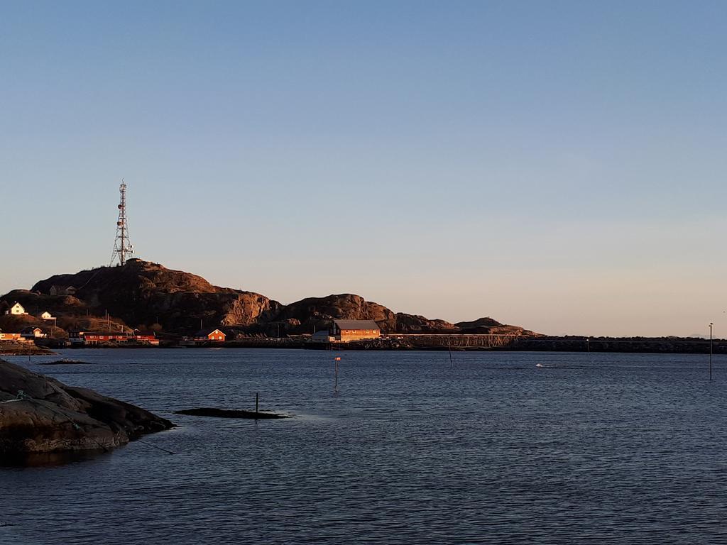 Sjohaug Rorbu Apartment Moskenes Luaran gambar